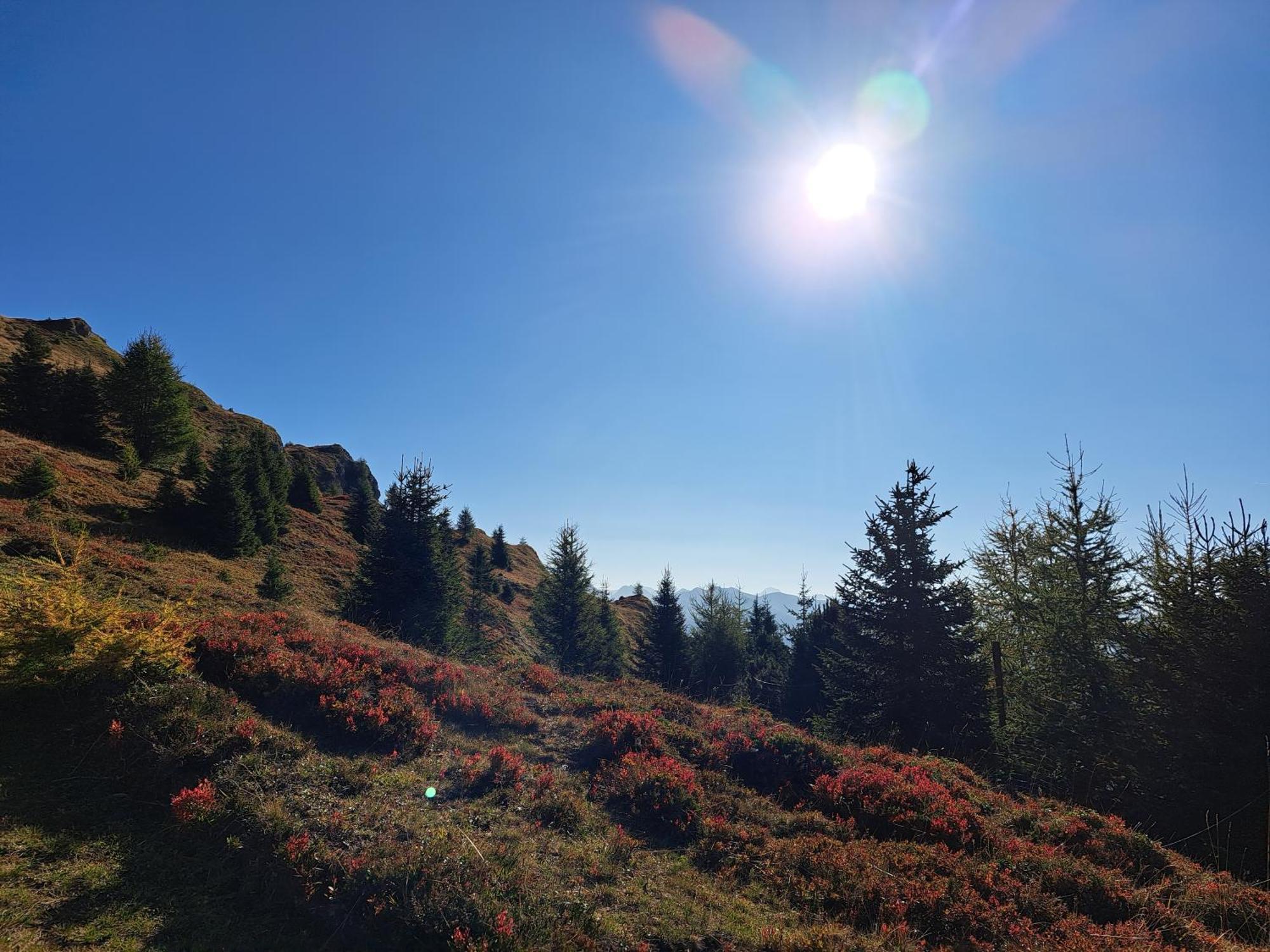 Apart am Brunnen Ried im Oberinntal Eksteriør bilde