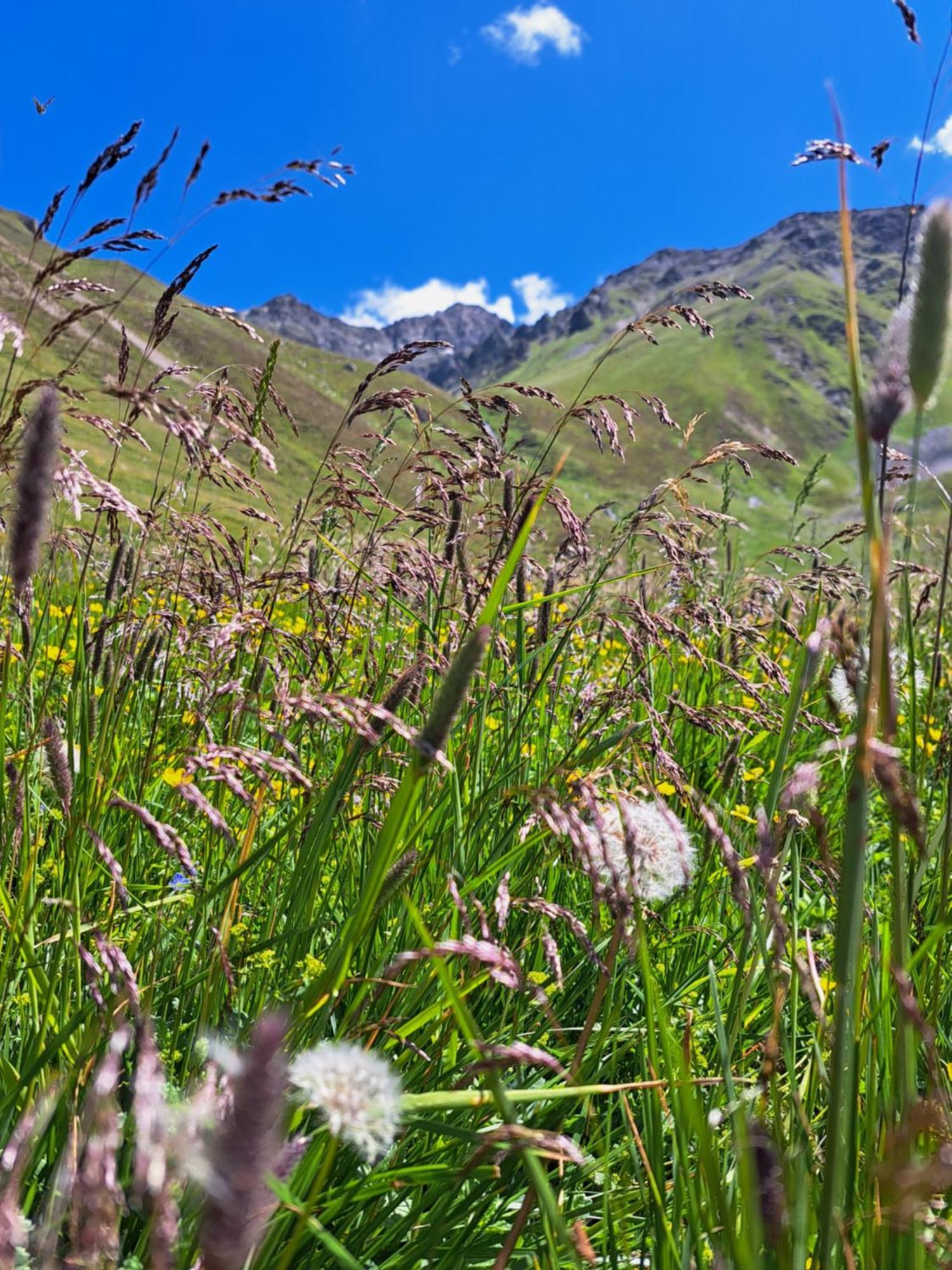 Apart am Brunnen Ried im Oberinntal Eksteriør bilde