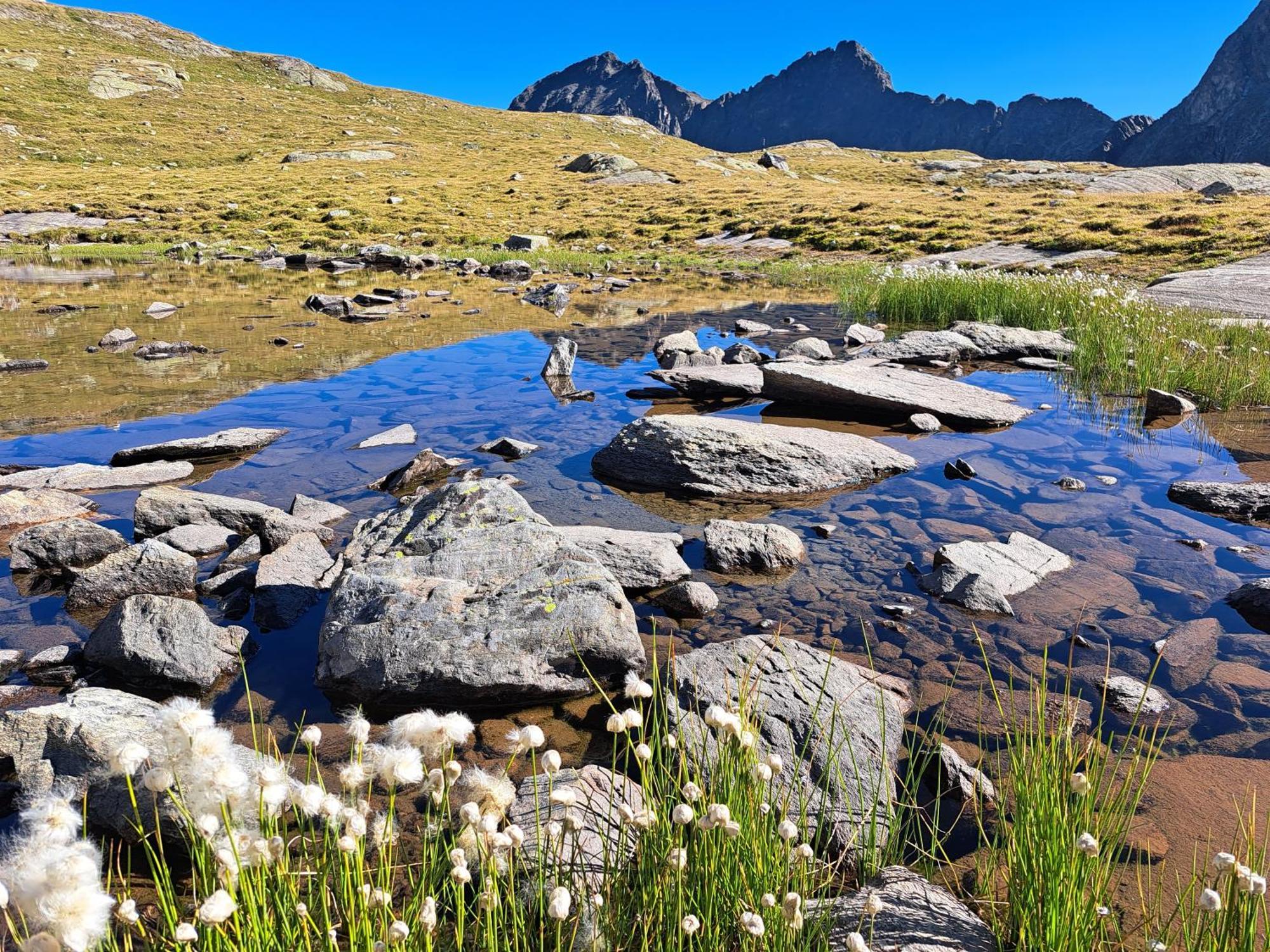 Apart am Brunnen Ried im Oberinntal Eksteriør bilde