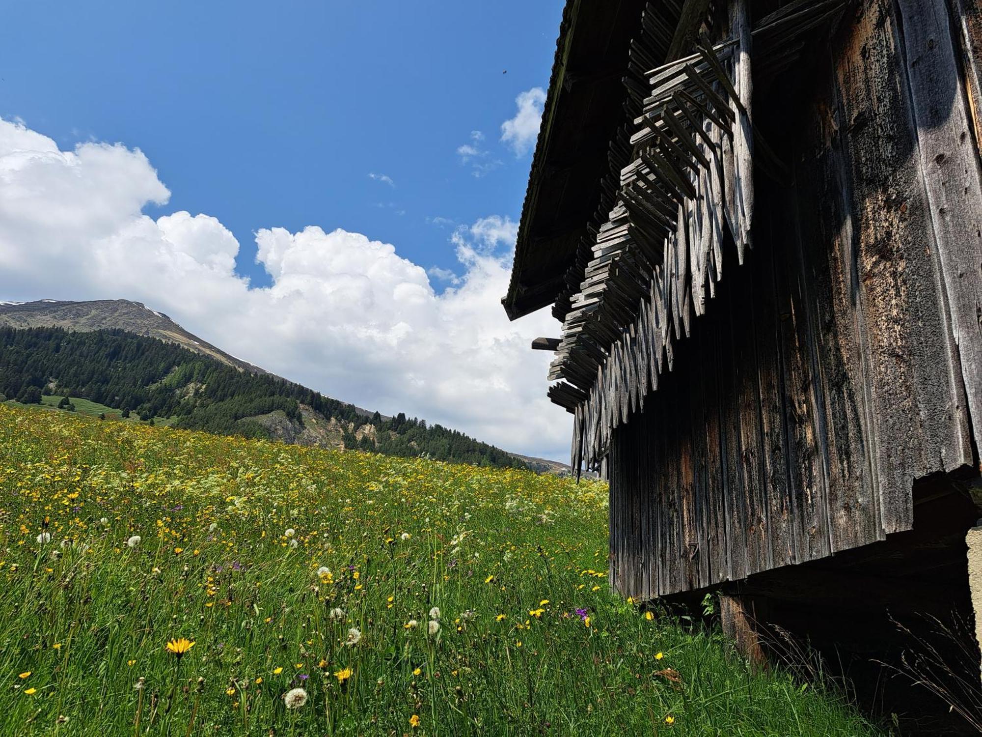 Apart am Brunnen Ried im Oberinntal Eksteriør bilde